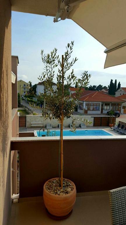 Antonija Apartments With Pool ビオグラード・ナ・モル エクステリア 写真